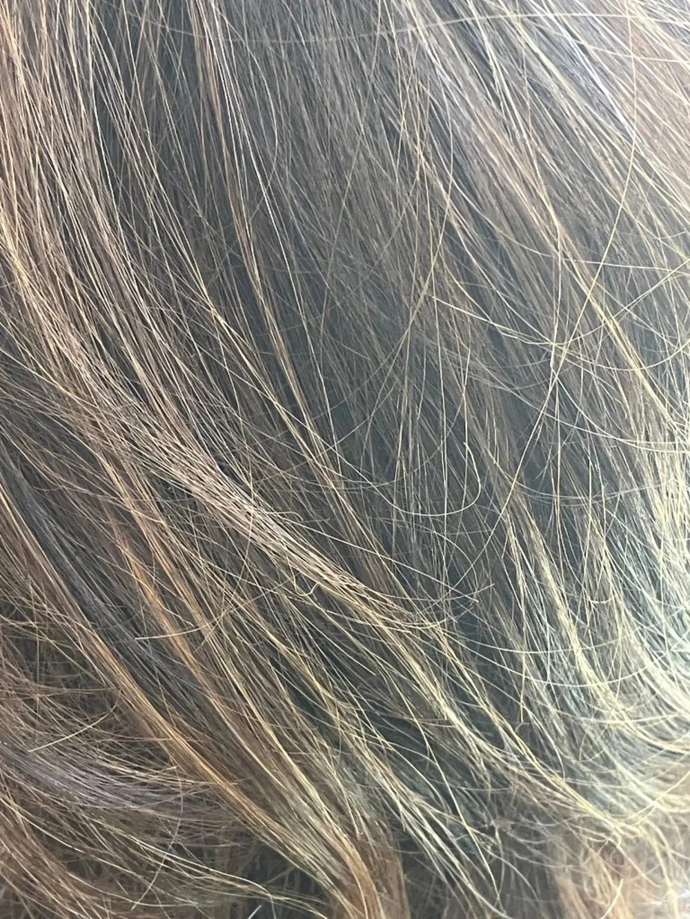 Raquel Welch Brown Highlighted Wig